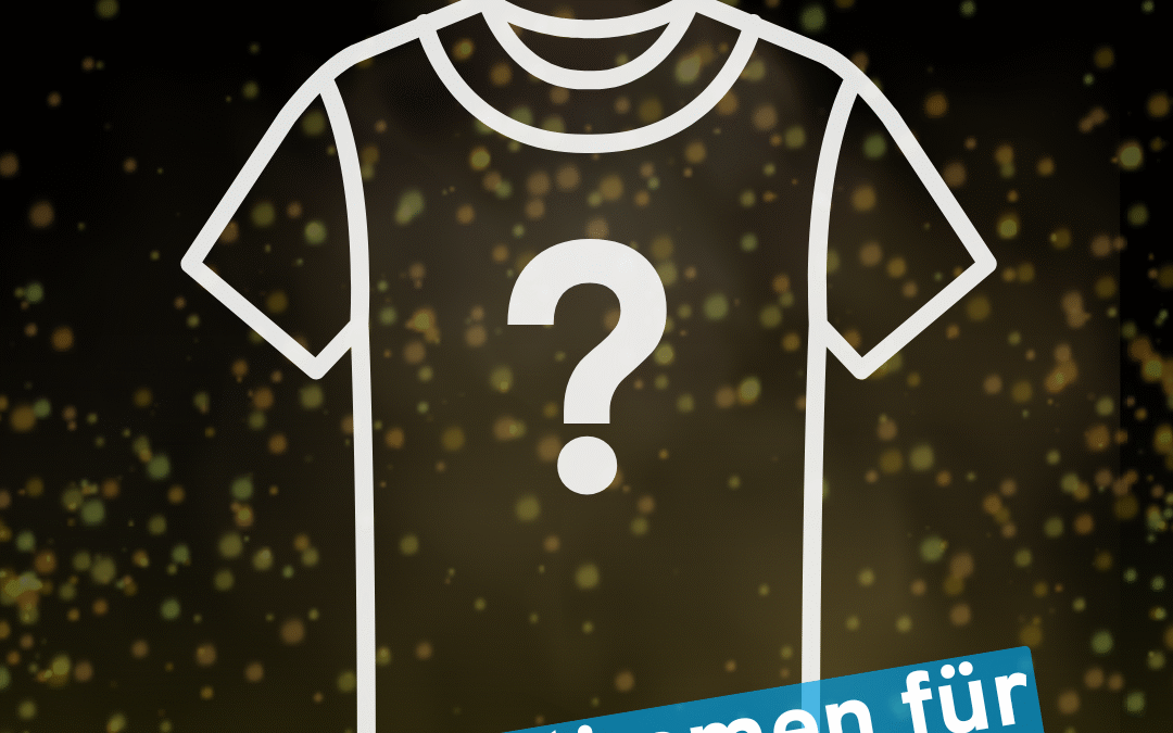 Abstimmung Community-Shirt