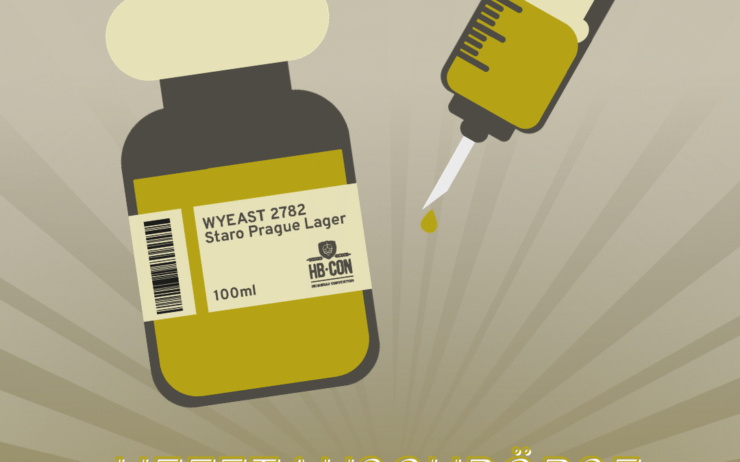 Hefetauschbörse am Community-Sonntag